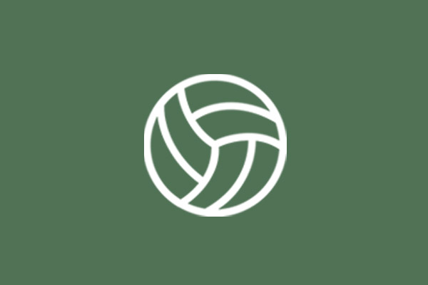 Image related to Volleyball