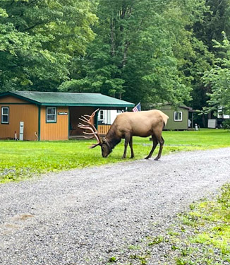 Austin Campground