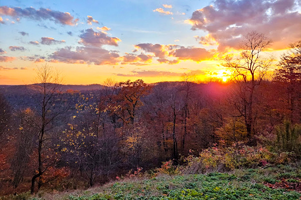 Image related to Cherry Springs State Park