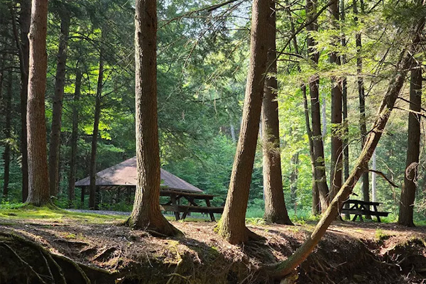 Image related to Sizerville State Park