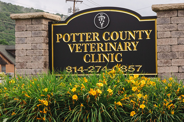 Image related to Potter County Veterinary Clinic